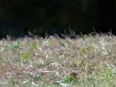 Japaans, Tiener, Bekijker