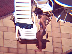 Amateur, Portugués