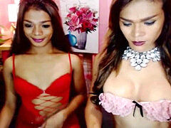 素人, シーメール