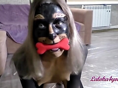Doberman Sucks Dick Rides Top And Doggy