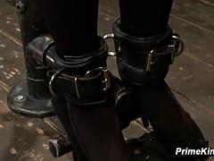 Bondage domination sadisme masochisme, Bondage, Double pénétration, Femme dominatrice, Bâillonner, Hard, Lesbienne, Vibromasseur