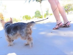 アナル, ダンス, ドレス, エクストリーム, ヒール, オーガズム, 公共, 一人