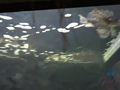 浴室, ブロンド, 人形, オナニー, パンティ, ハメ撮り, オマンコ, オッパイの