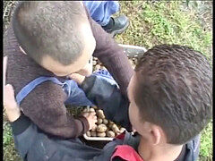 Любители, Анальный секс, Геи