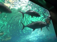 Adriana masturbates for you at the end of your day