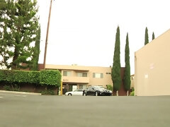 Culo, Tetas grandes, Mamada, Morena, Sexo duro, Hd, Madres para coger, Estrella porno