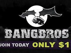 Grote lul, Bruinharig, Lul, Europees, Klein, Spaans, Trio