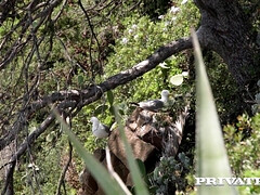 デカ尻, デカパイ, ブロンド, フェラチオ, 巨乳な, 淫乱熟女, アウトドア, オッパイの