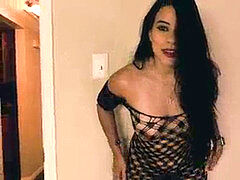 Puerto-rican, point of view, jollapr