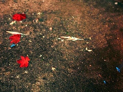 Mamada, Estilo perrito, Europeo, Cuadrupleta, Lamidas, Tetas naturales, Afeitado, Cabello corto