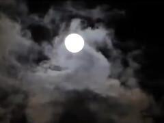 茶髪の, Hd, インド人, オッパイの