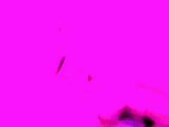 Enthousiasteling, Vingeren, Hardcore, Huisgemaakt, Orgasme, Kut duiken, Tieten likken, Nat