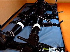 緊縛, ボンデージ, ゲイ