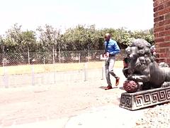 美女, フェラチオ, 茶髪の, 異人種間