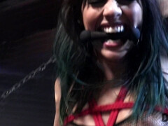 18 летние, Жопа, Садо мазо, Хд, Индианки, Пирсинг, Жесткий секс, Молоденькие