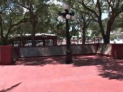 Grote mammen, Bruinharig, Flashing