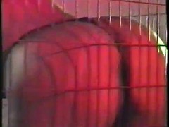 Gros seins, Mère que j'aimerais baiser, Solo