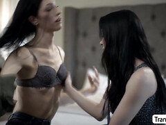 Большие сиськи, Минет, Глубокая глотка, Ледибой, Латиноамериканки, Лизание, Киски, Трансы