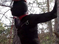 Amateur, Mamada, Garganta profunda, Fetiche, Casero, Al aire libre, Pequeña, Adolescente