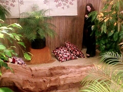 Nana, Brunette brune, Dingue, Mignonne, Groupe, Petite femme, Chatte, Rétro ancien