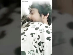 Bruinharig, Hd, Indisch