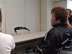 Bruinharig, Japaans, Ondergoed, Buiten, Tieten likken