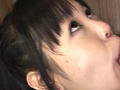 Leie, Asiatisch, Grosse titten, Kompilation, Japanische massage, Milf, Titten, Vibrator