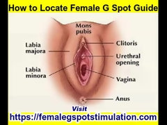 Любители, Красотки, Женщины