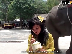 Asiatisch, Grosser schwanz, Aufs gesicht abspritzen, Hd, Interrassisch, Im freien, Thai