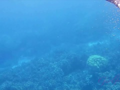 Enthousiasteling, Flashing, Keuken, Orgasme, Klein, Gezichtspunt, Kut duiken, Tieten likken