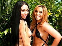 Большая жопа, Большой член, Большие сиськи, Минет, Собачьи, Две девушки, Милф, Втроем