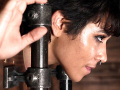 Bondage domination sadisme masochisme, Brunette brune, Doigter, Jouets