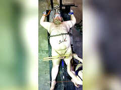 Bondage domination sadisme masochisme, Humiliation, Esclave