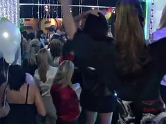 Tussi, Spassig, Party, Realität