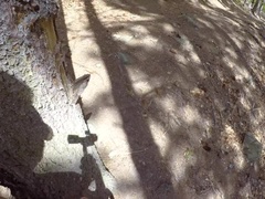 Anal, Culo, Rubia, Corrida, Garganta profunda, Hd, Público, Realidad