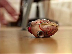 Británico, Morena, Corridas, Médico, Europeo, Peludo, Montar, Tatuaje
