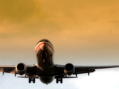 Blond, Gevangen, Zoenen, Likken, Masseren, Kut duiken, Geschoren, Strak