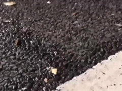 Asiático, Hd, Japonés, Al aire libre, Público, Realidad, Adolescente, Voyeur