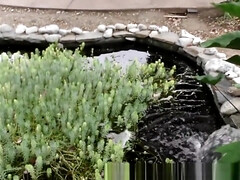 teen 18+ Interracial Gangbang