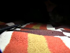 Leie, Pov, Öffentlich