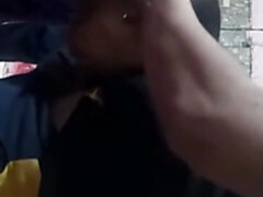 Bruinharig, Hd, Indisch