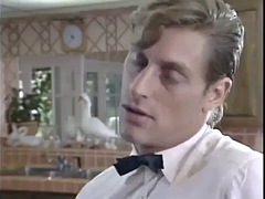 Compilatie, Stel, Oud