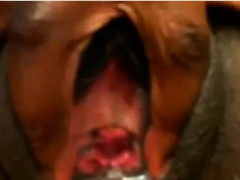 Любители, Черные, Черненькие, Мастурбация, Соло, Вебкамера