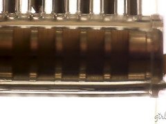 Американки, Грудастые, Фетиш, Хд, Лесбиянка, Зрелые, Милф, Киски