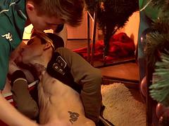 Sucer une bite, Couple, Homosexuelle, Hard, Masturbation, Police, Polonais
