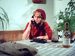 pornography Internview (1979)