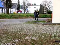 Enthousiasteling, Stel, Hondjeshouding, Hd, Geld, Roodharige vrouw, Tiener, Vrouw