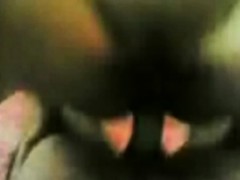 Amateur, Morena, Peludo, Pov