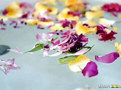 Grote mammen, Bruinharig, Bedriegen, Stel, Moeder die ik wil neuken, Kut duiken, Realiteit, Stiefmoeder