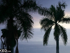 Anaal, Kont naar mond, Pijpbeurt, Bruinharig, Interraciaal, Klein, Rijden, Tieten likken